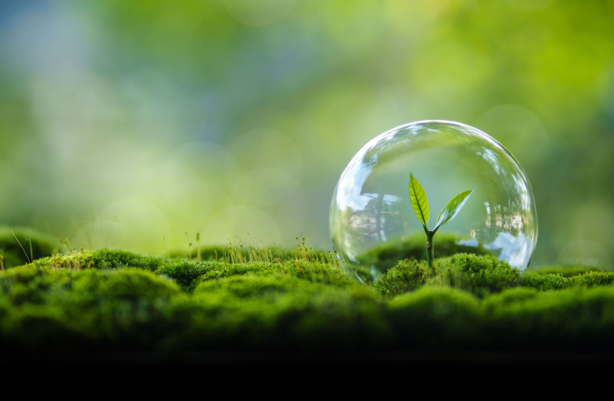 Nachhaltigkeit ist ein zentraler Bestandteil der Unternehmensphilosophie von beko (c) Shutterstock