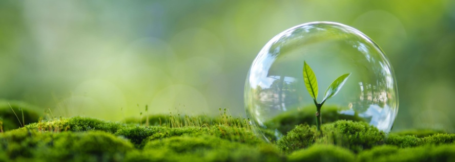 Nachhaltigkeit ist ein zentraler Bestandteil der Unternehmensphilosophie von beko (c) Shutterstock