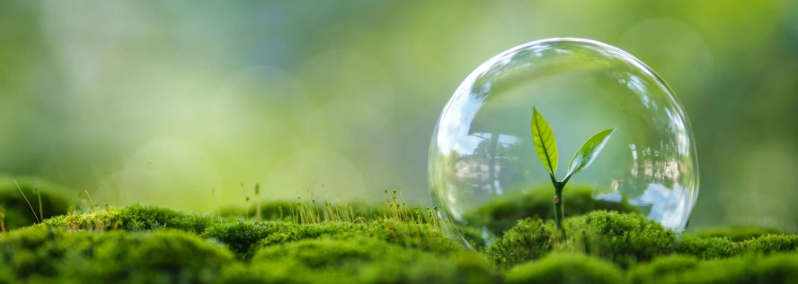 Nachhaltigkeit ist ein zentraler Bestandteil der Unternehmensphilosophie von beko (c) Shutterstock